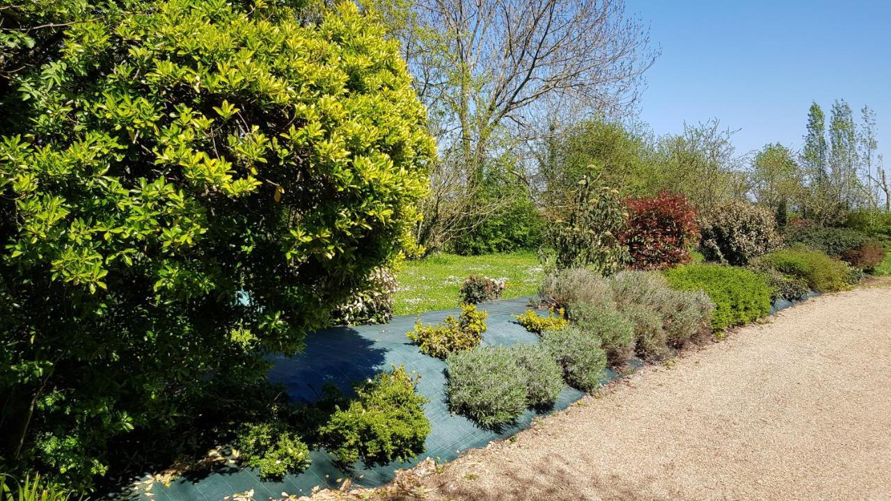 مبيت وإفطار Brissac-Quince La Demeure Du Goupil المظهر الخارجي الصورة